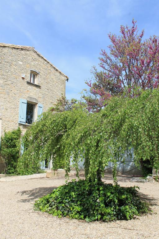 La Rose Bed & Breakfast Saint-Gervasy Exterior photo