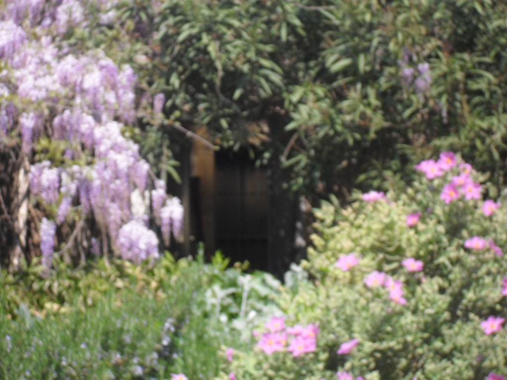 La Rose Bed & Breakfast Saint-Gervasy Exterior photo